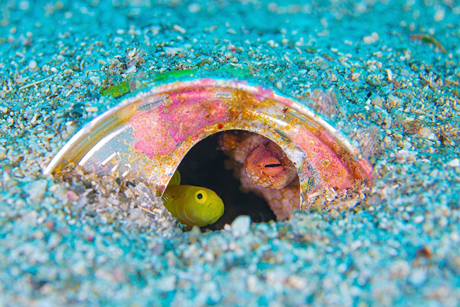 もう、入ってます（秋元 星哉）