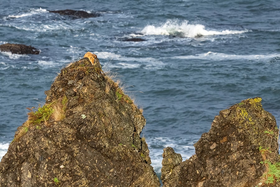 安心スポット（いせとる）