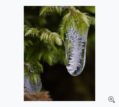 宝石見つけた！（さっちん）