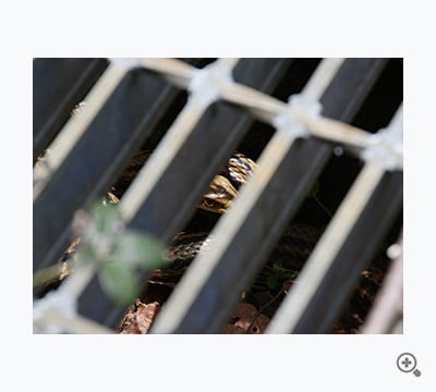 眼光鋭く（内田 浩伸）