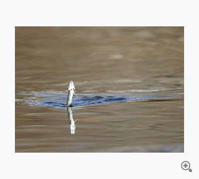 あと少し（とみさん）