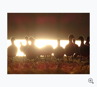 ー開演ー（りい）