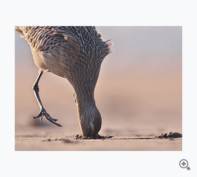 ぬけなぁ～い（yasu）