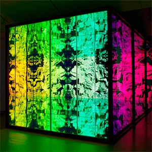 展示の前に立つ女性。