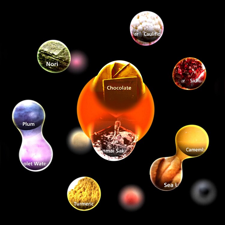 ソニーグループポータル Sony Design ソニーデザイン