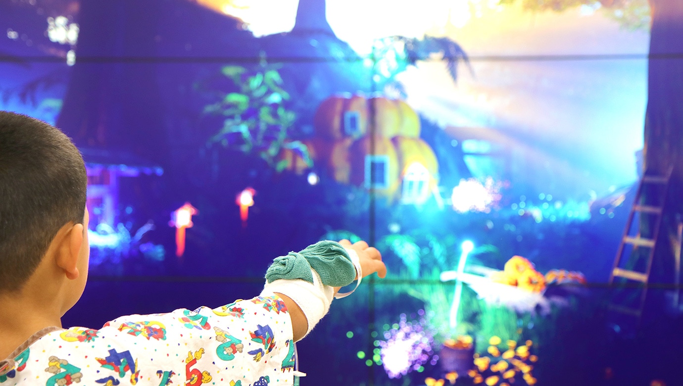 "The Enchanted Forest"のキービジュアル