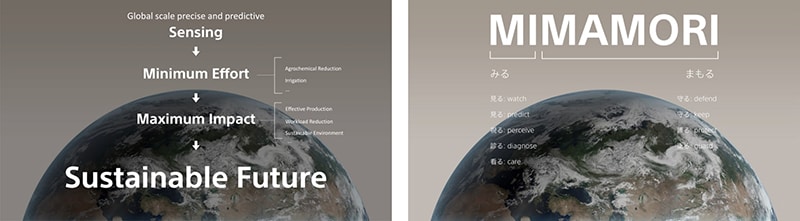 「みる」「まもる」事による持続可能な未来に向けた取り組みのイメージ