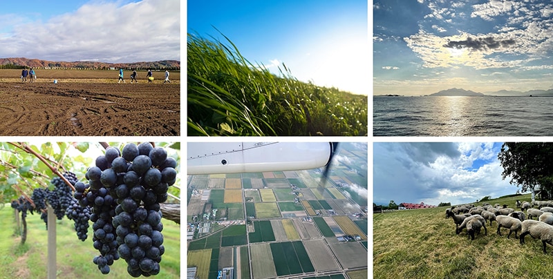 MIMAMORIの実現に向けたフィールドワーク場所イメージ