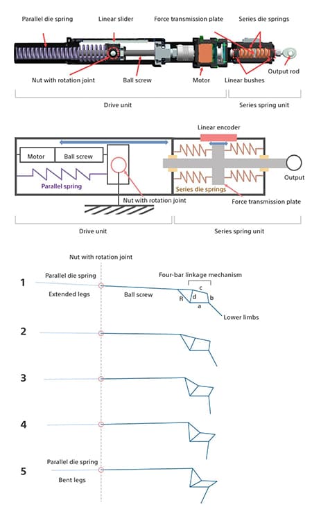 新開発の直列並列弾性アクチュエーターの説明図
